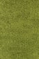 Ayyildiz vaip Shaggy Dream Green 4000, 120x170 cm hind ja info | Vaibad | hansapost.ee