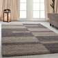 Vaip Ayyildiz Shaggy Gala Taupe 2505, 100x200 cm hind ja info | Vaibad | hansapost.ee