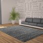 Vaip Ayyildiz Shaggy Dream Grey 4000, 200x290 cm цена и информация | Vaibad | hansapost.ee