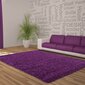 Vaip Ayyildiz Shaggy Dream Lila 4000, 200x290 cm цена и информация | Vaibad | hansapost.ee