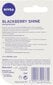 Huulepulk Nivea Blackberry Shine, 4.8g hind ja info | Huulekosmeetika | hansapost.ee