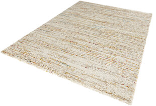 Vaip Hanse Home Nomadic 102690, 200x290 cm hind ja info | Mint Rugs Mööbel ja sisustuskaubad | hansapost.ee