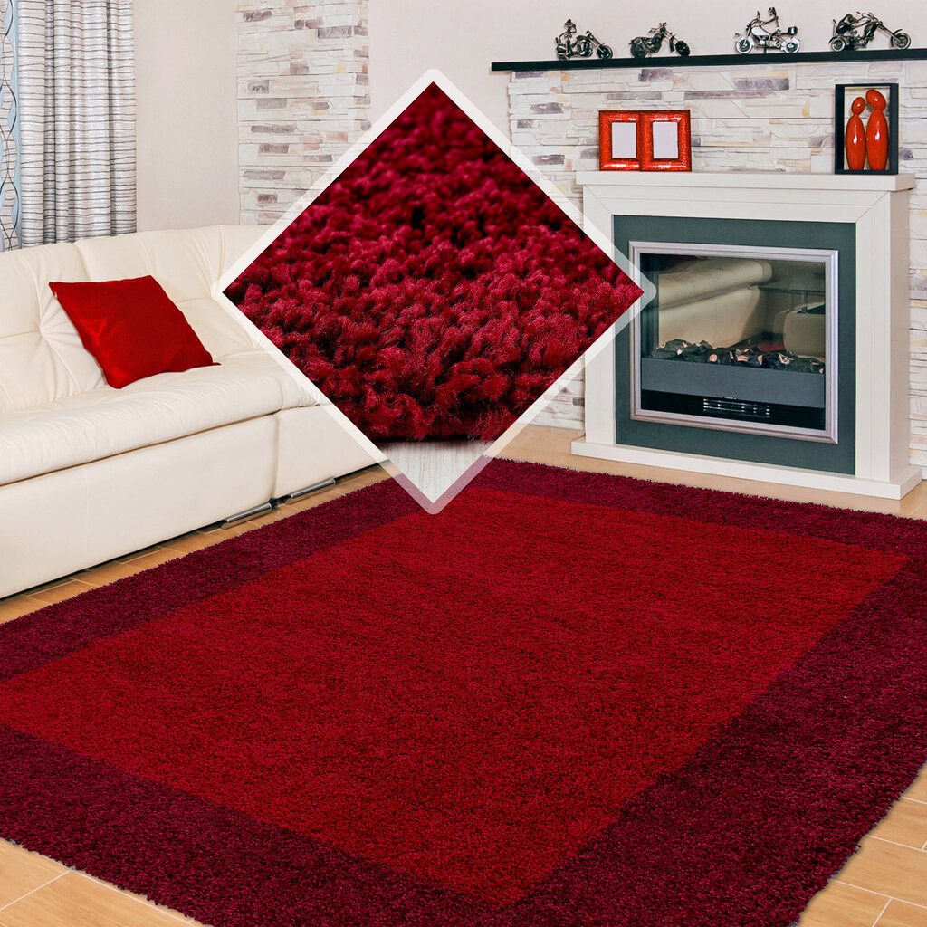 Vaip Ayyildiz LIFE RED, 100x200 cm hind ja info | Vaibad | hansapost.ee