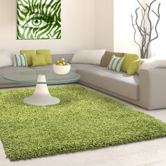 Vaip Ayyildiz LIFE green, 120X170 cm hind ja info | Vaibad | hansapost.ee