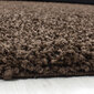 Vaip Ayyildiz LIFE brown, 160X230 cm hind ja info | Vaibad | hansapost.ee