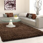 Vaip Ayyildiz LIFE brown, 160X230 cm hind ja info | Vaibad | hansapost.ee