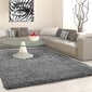 Vaip Ayyildiz LIFE grey, 160X230 cm hind ja info | Vaibad | hansapost.ee