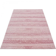 Vaip Plus Pink 8000, 120x170 cm hind ja info | Vaibad | hansapost.ee