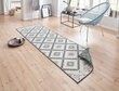 Kahepoolne õuevaip NORTHRUGS Malibu, 80x350 cm цена и информация | Vaibad | hansapost.ee