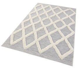 Vaip siseruumi või õue Mint Rugs Ayoun, 115x170 cm цена и информация | Ковры | hansapost.ee