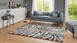 Mint Rugs vaip Allure Desert, 200x290 cm цена и информация | Vaibad | hansapost.ee