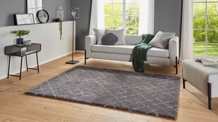 Mint Rugs ковер Allure Archer, 120x170 см цена и информация | Ковры | hansapost.ee