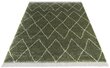 Mint Rugs vaip Desire Jade, 120x170 cm hind ja info | Vaibad | hansapost.ee