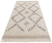 Mint Rugs vaip New Handira Aranos 200x290 cm hind ja info | Vaibad | hansapost.ee