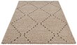 Mint Rugs vaip Retro Basay 120x170 cm hind ja info | Vaibad | hansapost.ee