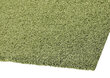 Narma narmasvaip Spice, roheline, 160 x 240 cm hind ja info | Vaibad | hansapost.ee