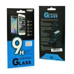 BL 9H Tempered Glass 0.33mm / 2.5D Screen Protector Sony Xperia Z1 hind ja info | Ekraani kaitseklaasid ja kaitsekiled | hansapost.ee