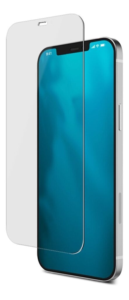 DELTACO kaitseklaas, telefonile Apple iPhone 12 Pro Max 6.7, 2.5D karastatud klaas, 9H kõvadus SCRN-20IP67 hind ja info | Ekraani kaitseklaasid ja kaitsekiled | hansapost.ee