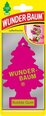 Wunder-Baum Car chemicals and air fresheners online