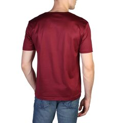 Мужская футболка Calvin Klein цена и информация | Мужские футболки | hansapost.ee