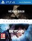 PlayStation 4 Mäng Heavy Rain and Beyond Two Souls Collection hind ja info | Konsooli- ja arvutimängud | hansapost.ee