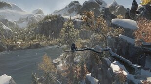 PS4 Assassin's Creed Rogue Remastered цена и информация | Ubisoft Компьютерная техника | hansapost.ee