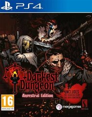 Darkest Dungeon: Ancestral Edition цена и информация | Компьютерные игры | hansapost.ee