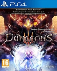 PlayStation 4 mäng Dungeons 3 цена и информация | Компьютерные игры | hansapost.ee