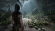 Hellblade: Senua's Sacrifice Xbox One hind ja info | Konsooli- ja arvutimängud | hansapost.ee