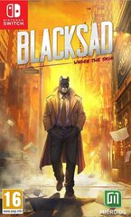 SWITCH Blacksad: Under the Skin Limited Edition цена и информация | Microids Игровые компьютеры и аксессуары | hansapost.ee