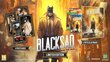 SWITCH Blacksad: Under the Skin Limited Edition hind ja info | Konsooli- ja arvutimängud | hansapost.ee
