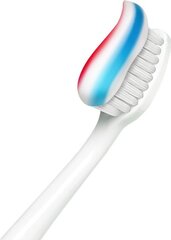 Зубная паста Aquafresh Fresh'N'Minty 100 мл цена и информация | Для ухода за зубами | hansapost.ee