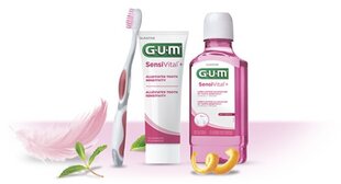 Ополаскиватель Sensivital + 300 мл для ежедневного ухода за чувствительными зубами и деснами G.U.M.® (6081) цена и информация | Для ухода за зубами | hansapost.ee