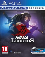 PS VR Ninja Legends цена и информация | Компьютерные игры | hansapost.ee