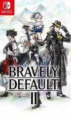 Nintendo Switch mäng Bravely Default II цена и информация | Компьютерные игры | hansapost.ee