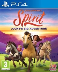 PlayStation 4 mäng Spirit: Luckys Big Adventure цена и информация | Компьютерные игры | hansapost.ee