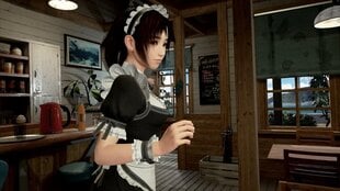 PS VR Summer Lesson: Hikari Miyamoto hind ja info | Konsooli- ja arvutimängud | hansapost.ee