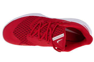 Nike мужские кроссовки CI2964-610, красные цена и информация | Nike Одежда, обувь и аксессуары | hansapost.ee