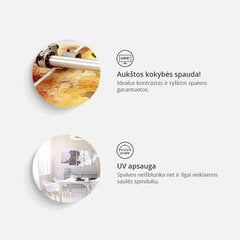 Maal - Modern Dandelions (5 Parts) Beige Wide цена и информация | Artgeist Мебель и домашний интерьер | hansapost.ee