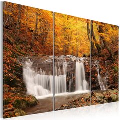 Maal - A waterfall in the middle of fall trees цена и информация | Картины, живопись | hansapost.ee