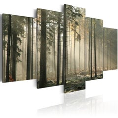Maal - Light in a dark forest цена и информация | Картины, живопись | hansapost.ee