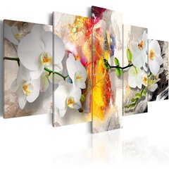Maal - Orchid And Colors hind ja info | Seinapildid | hansapost.ee