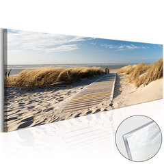 Akrüülprintimine - Wild Beach [Glass] hind ja info | Seinapildid | hansapost.ee