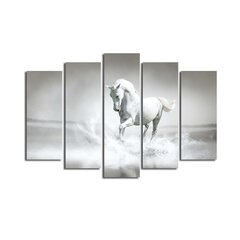 Репродукция из пяти частей Белый конь цена и информация | Настенные деревянные декорации | hansapost.ee