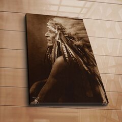 Репродукция Индейцы цена и информация | Настенные деревянные декорации | hansapost.ee