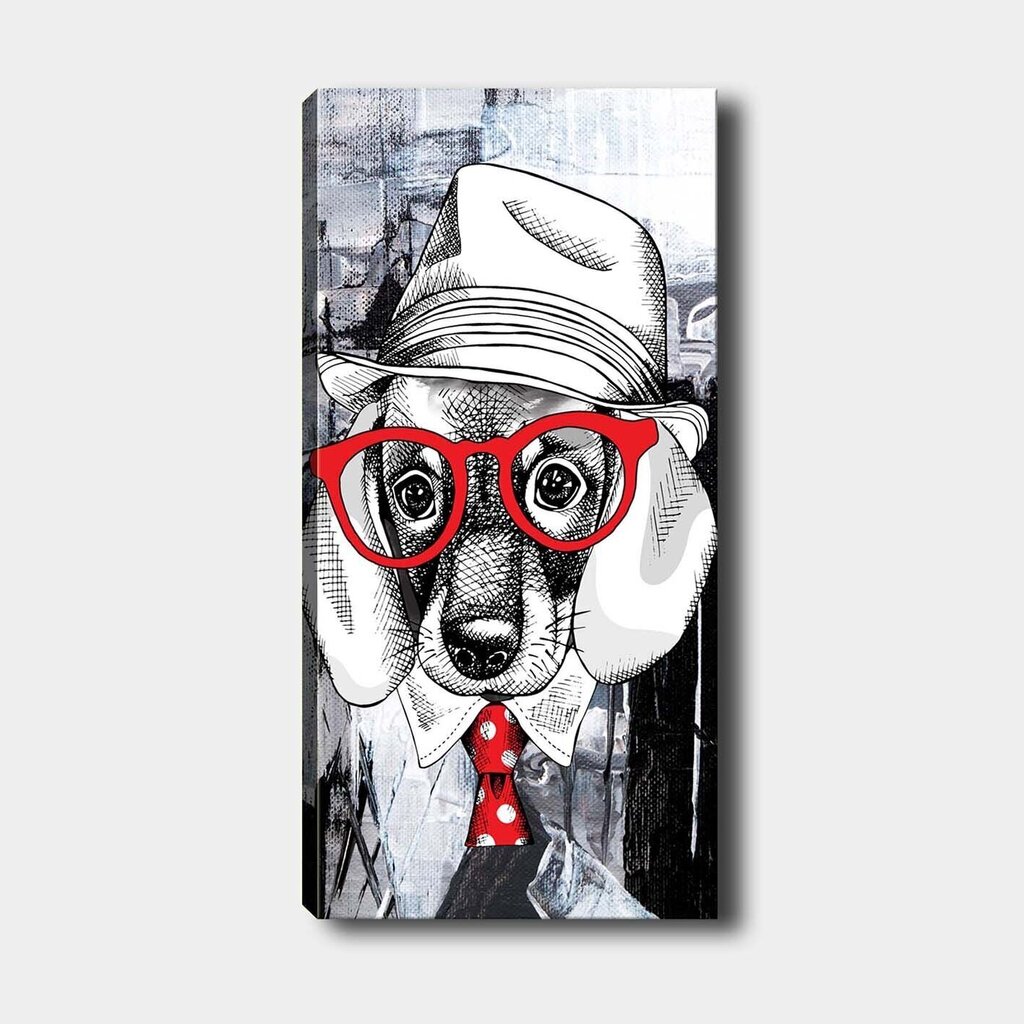 Pilt Punaste prillidega koer hind ja info | Seinapildid | hansapost.ee