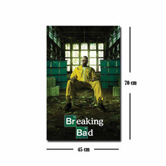 Репродукция Breaking Bad цена и информация | Репродукции, картины | hansapost.ee