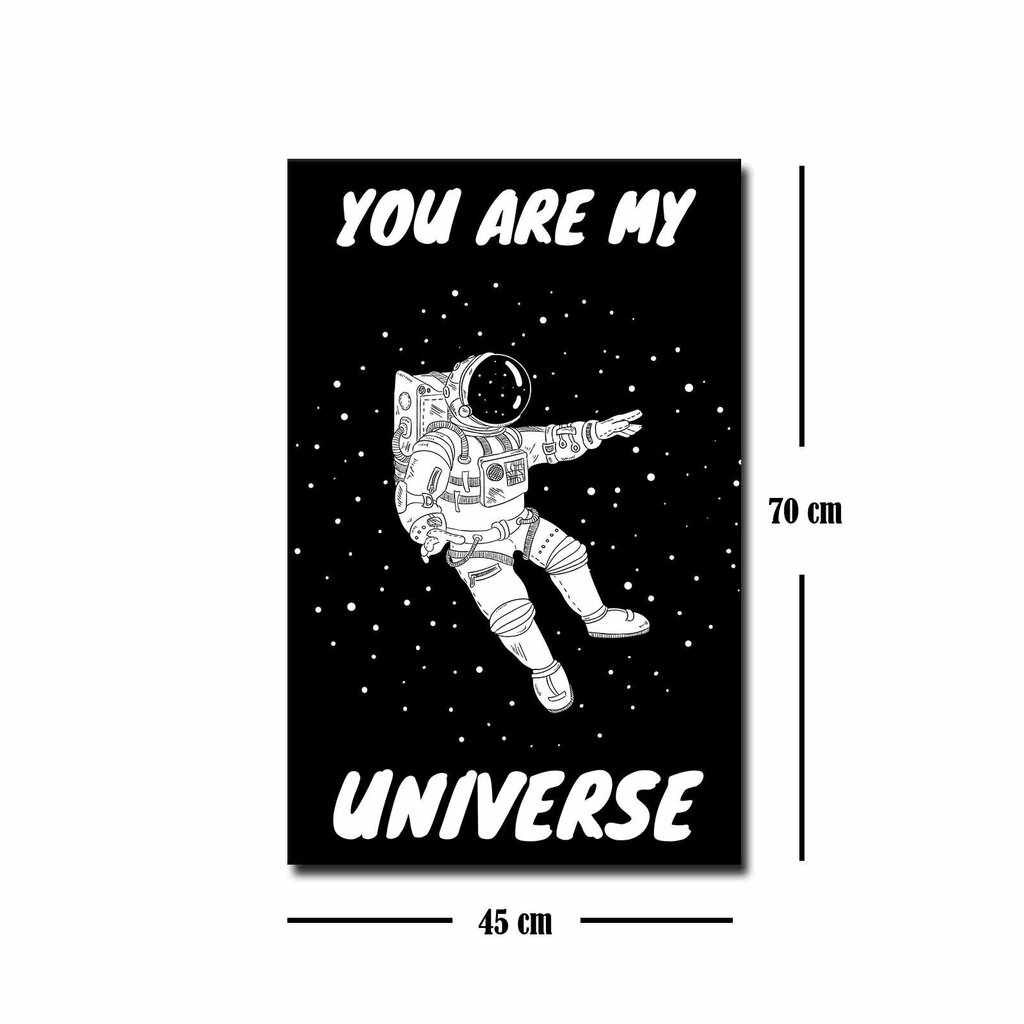 Reproduktsioon You are My Universe цена и информация | Seinapildid | hansapost.ee