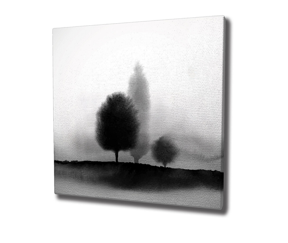 Reproduktsioon Puude siluetid udus (black and white) цена и информация | Seinapildid | hansapost.ee