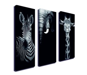 Репродукция из трех частей Зебра, слон и жираф цена и информация | Репродукции, картины | hansapost.ee